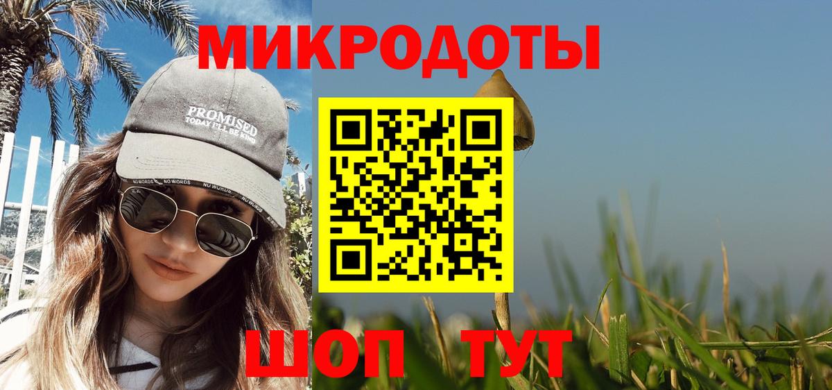 Галлюциногенные грибы Psilocybine cubensis  Вход с VPN  Ликино-Дулёво 